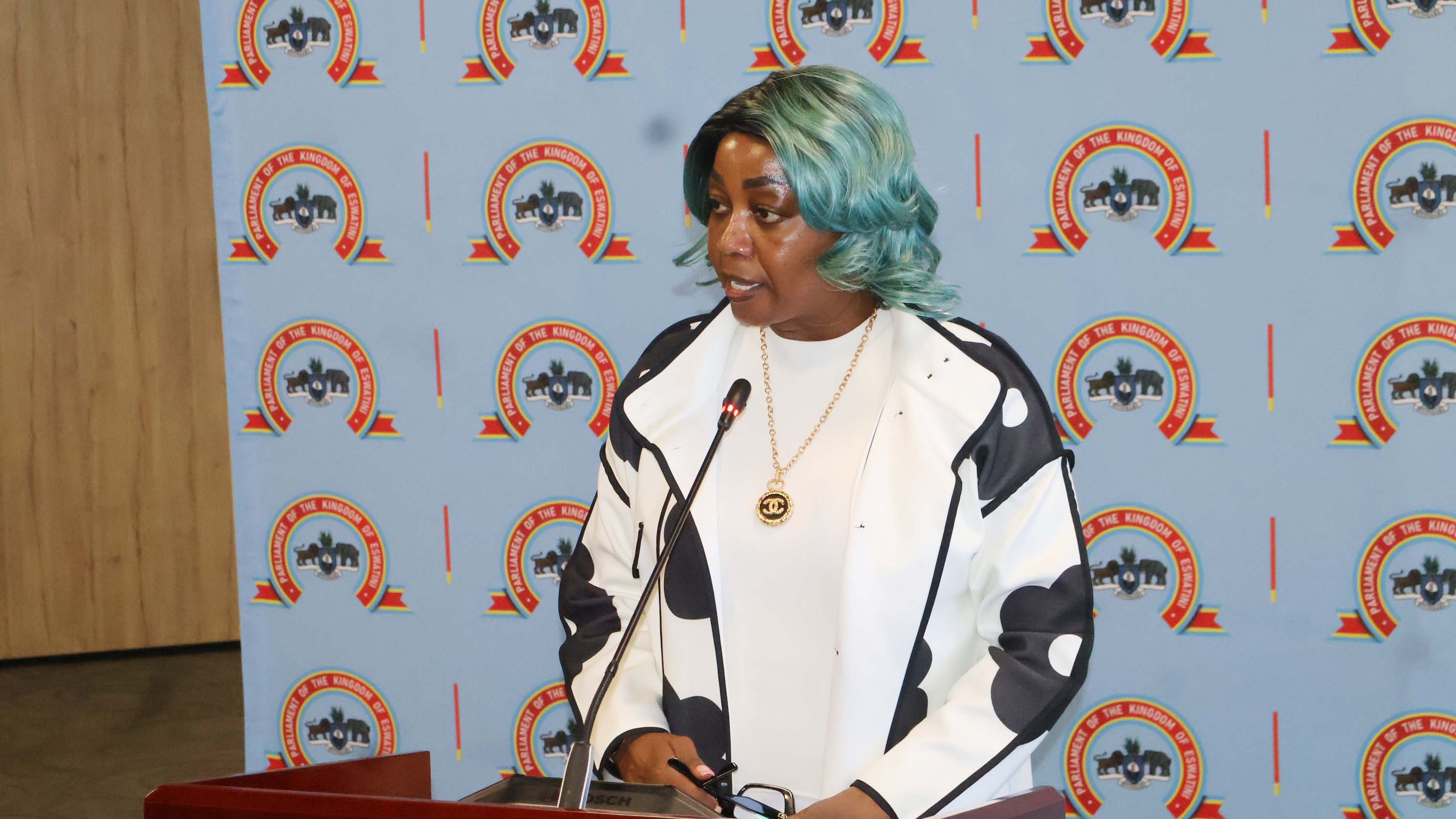 Minister for Information Communication and Technology Savannah Maziya makes a presentation at the workshop. 